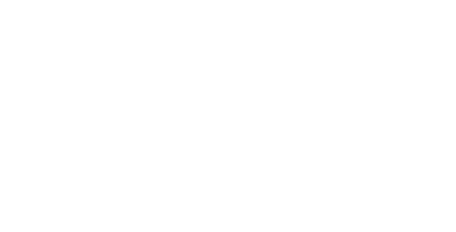 Steam